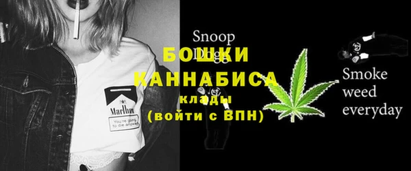 трава Переславль-Залесский