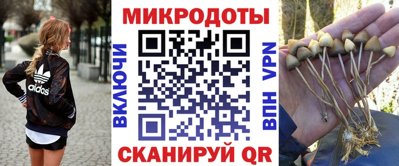 где найти kraken как зайти Галлюциногенные грибы Psilocybine cubensis Краснозаводск