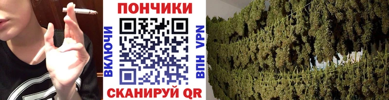 где можно купить наркотик  Краснозаводск  МАРИХУАНА тримм 